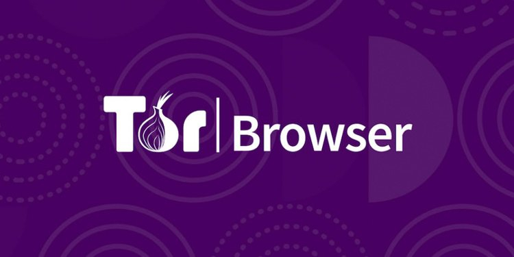 Гидра tor browser